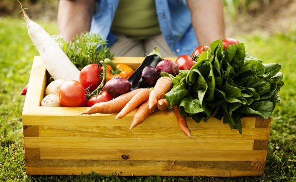 A Iano si parla di alimentazione SOSTENIBILE