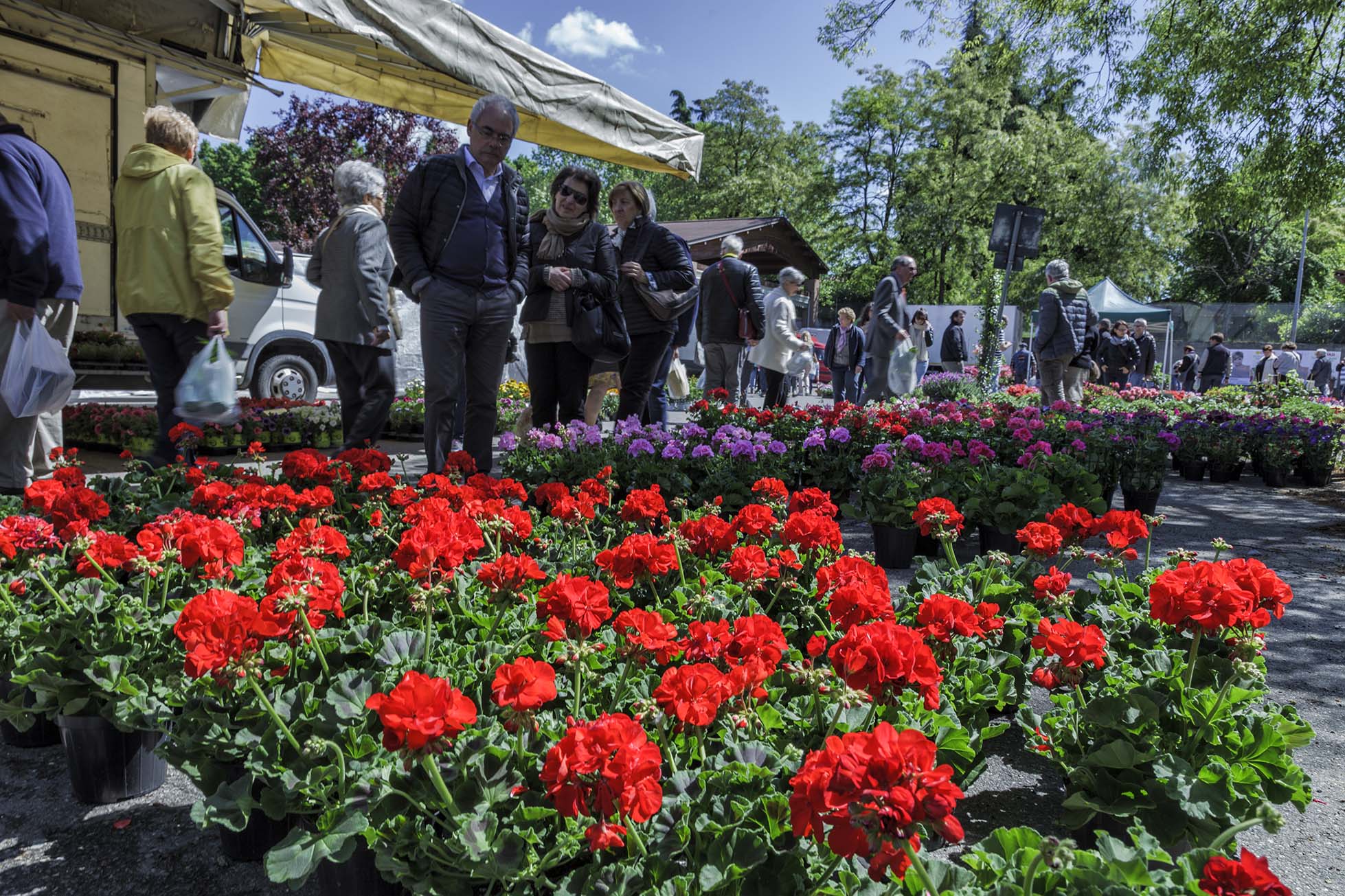 Programma Fiera di San Marco, Montecchio, 25 aprile 2017