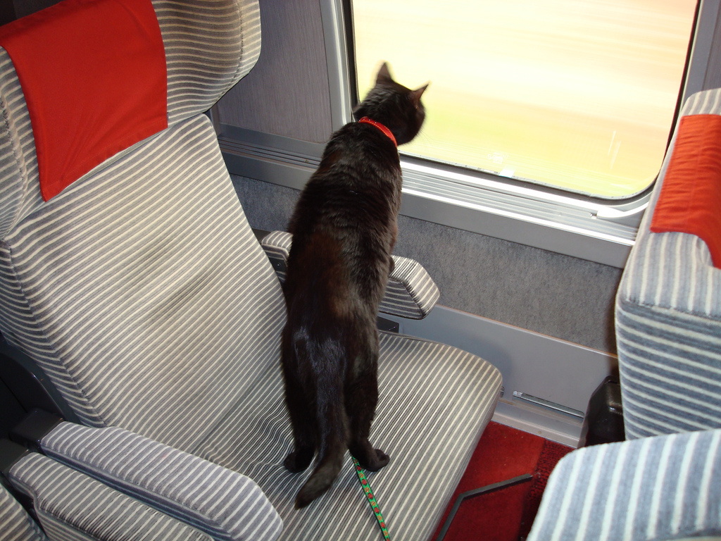 In treno con FIDO