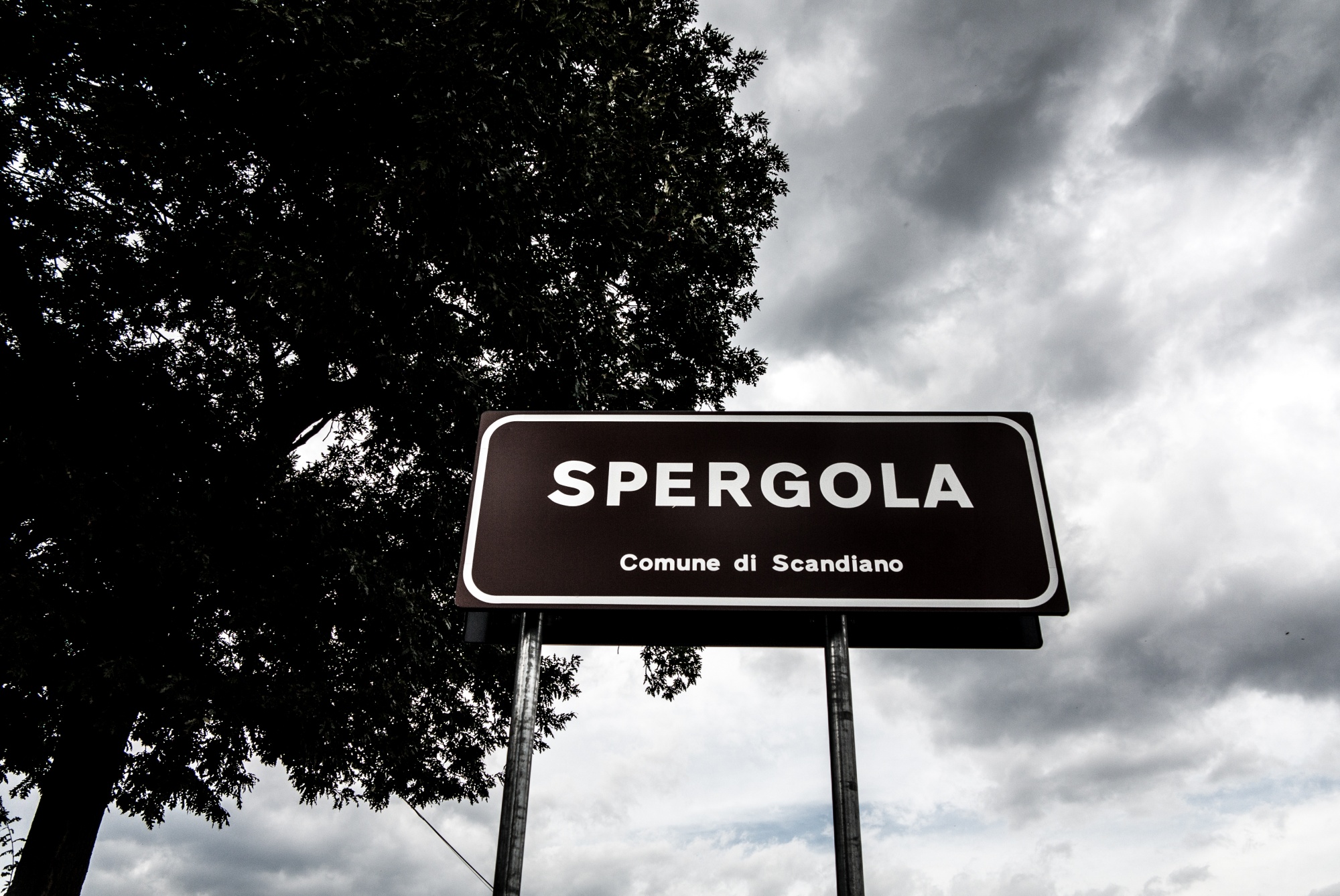 LA SPERGOLA: UNA STORIA DAL SAPORE REGGIANO