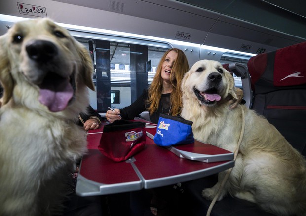 In TRENO con il cane