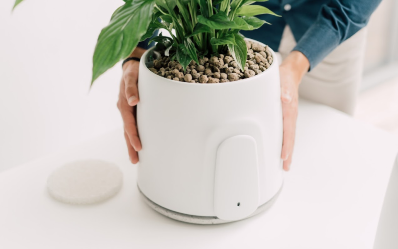 ARIA INDOOR. “Natede Smart”, il purificatore domestico è in armonia con la natura