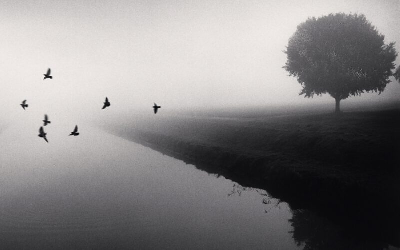 Michael KENNA “raddoppia” a Reggio